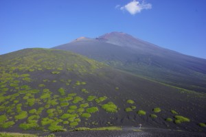 DSC01869